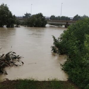 alluvione emilia romagna lamone