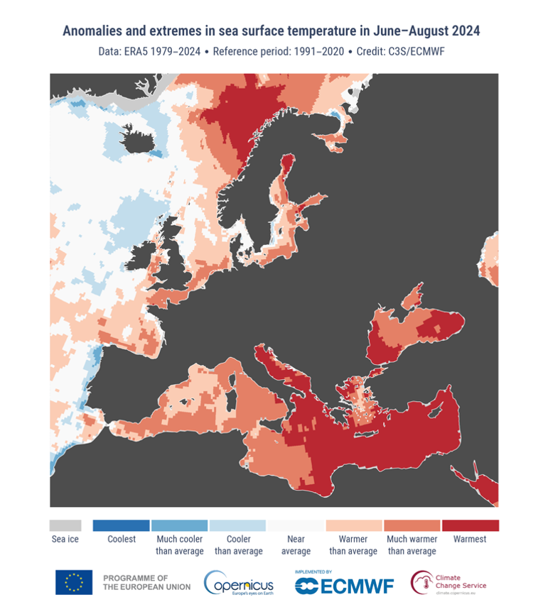 anomalia temperatura mare europa estate 2024