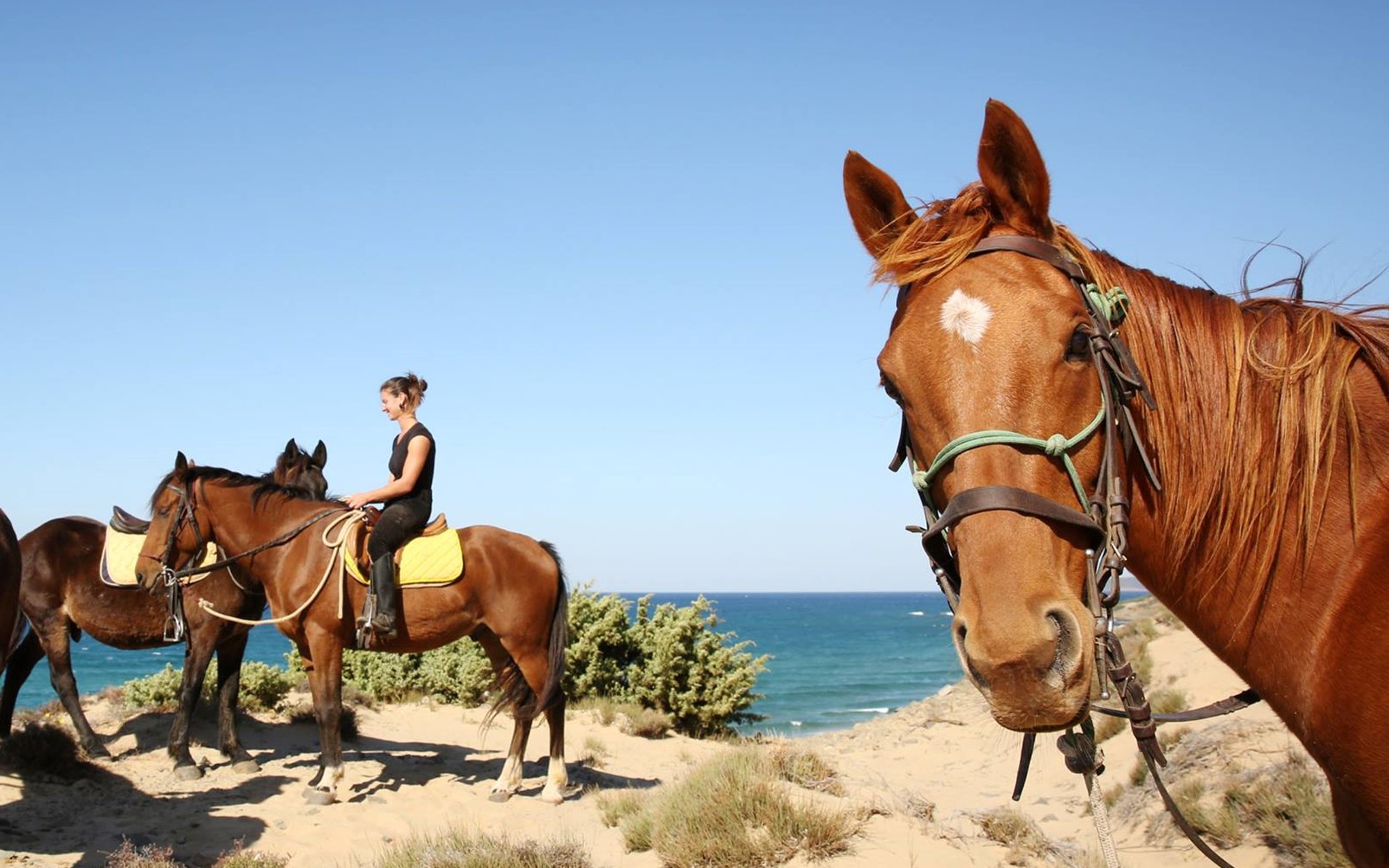 Malore improvviso mentre si trova a cavallo, 45enne in fin di vita