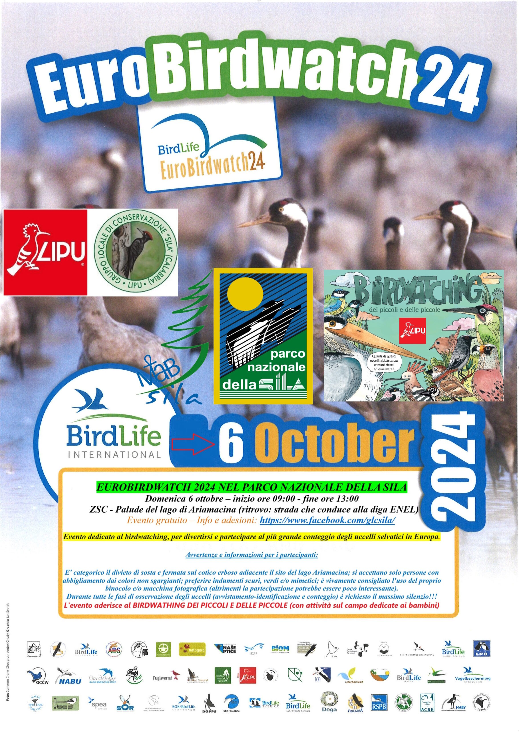 eurobirdwatching sila