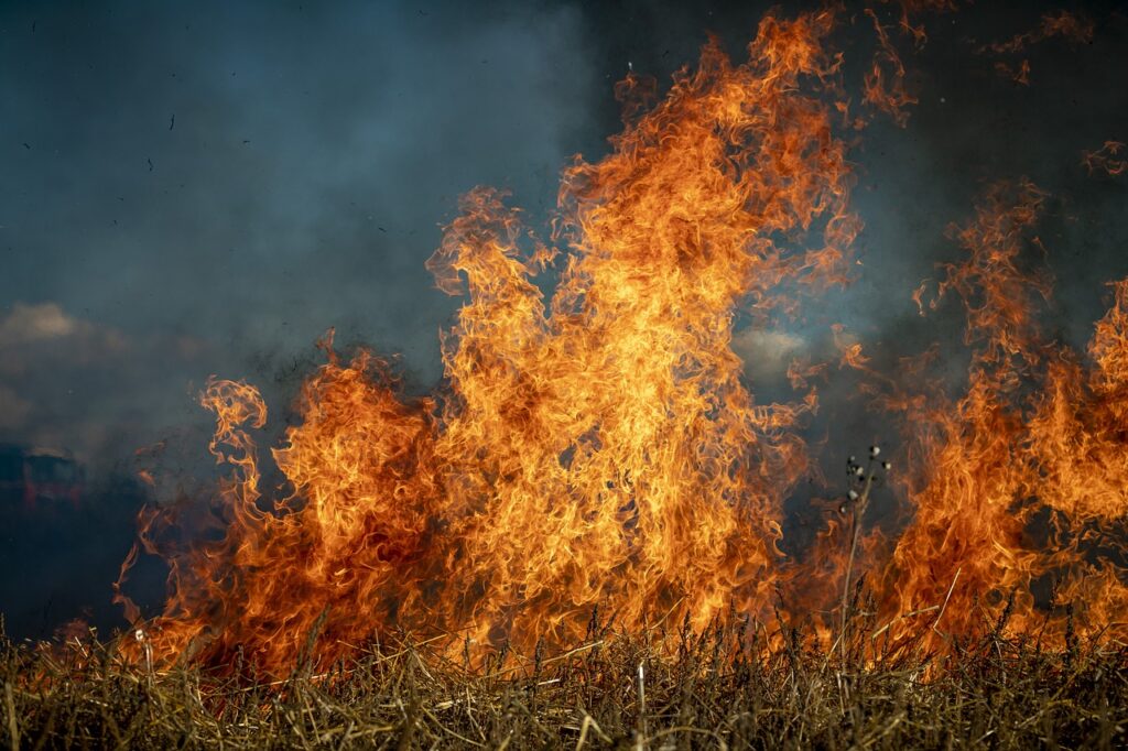 fumo incendi