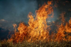 fumo incendi