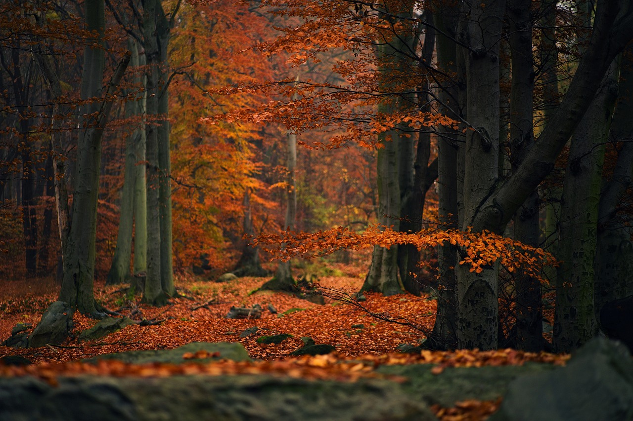 In Giappone l’autunno più caldo in 126 anni