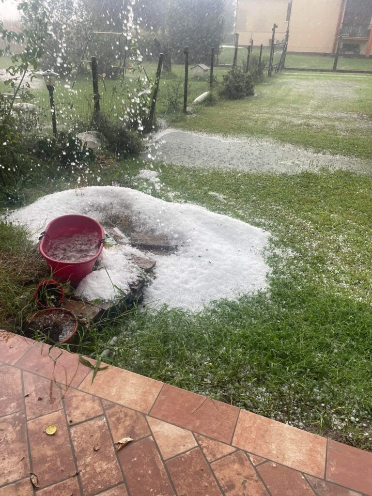 grandine mesola emilia romagna 2