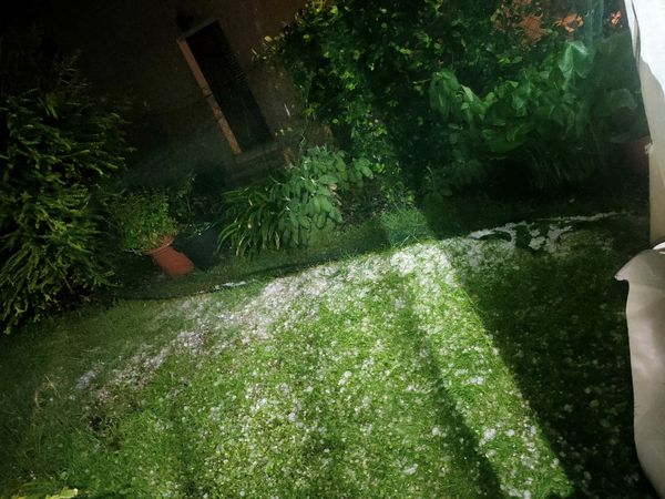 grandine ogliano di conegliano