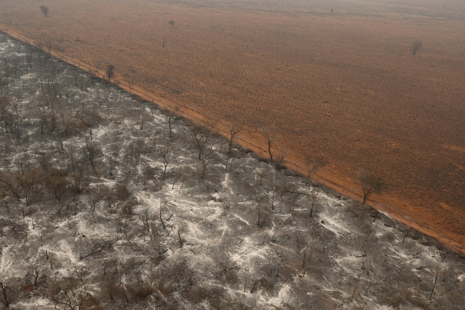 Incendi in Paraguay, bruciati 190mila ettari di foresta: tornata la pioggia