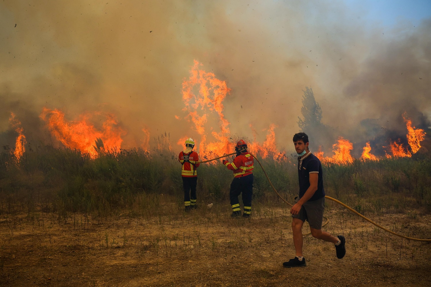 Incendi Portogallo, 36 roghi attivi: diversi morti e feriti | FOTO