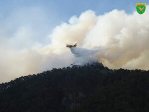incendio monte cimadors