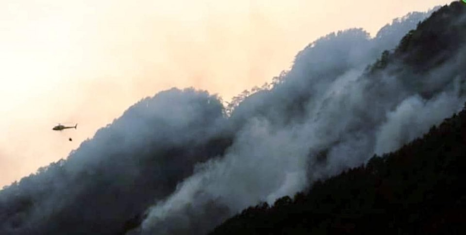 incendio monte cimadors friuli