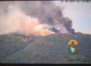 incendio montevettolini toscana