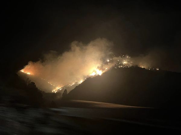 incendio palizzi marina calabria