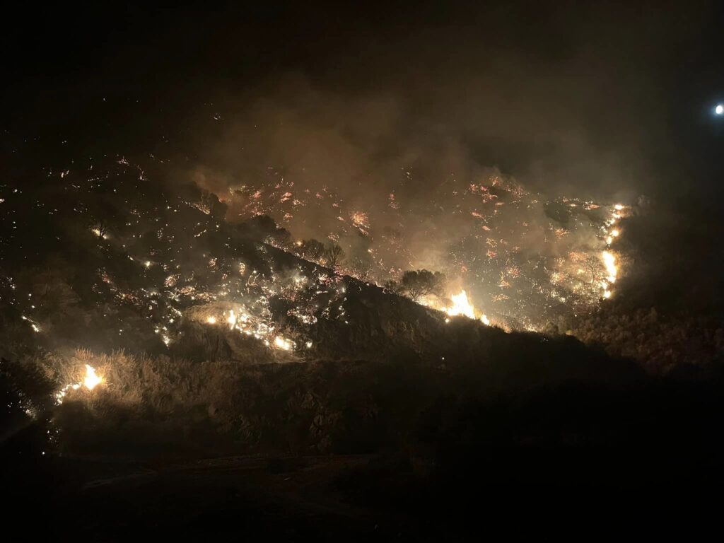 incendio palizzi marina calabria