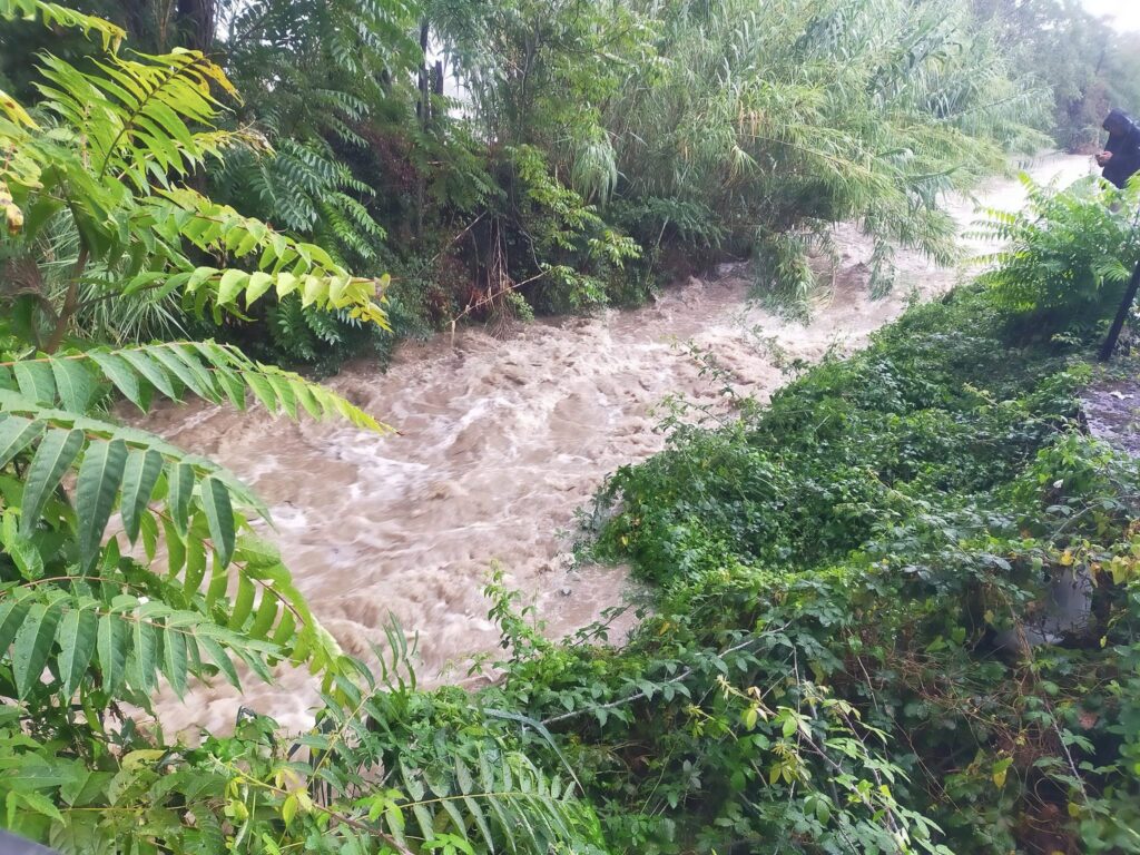 maltempo allagamenti muggia