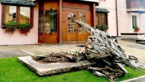 maltempo gallo di vaia veneto