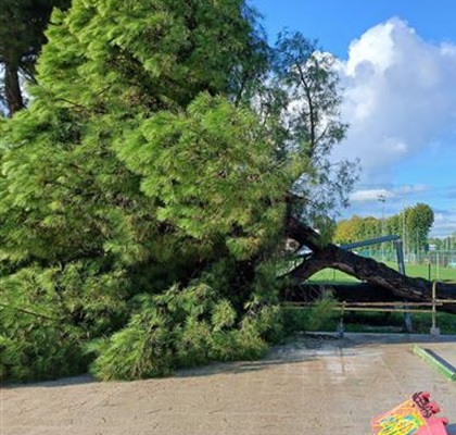 maltempo pesaro marche