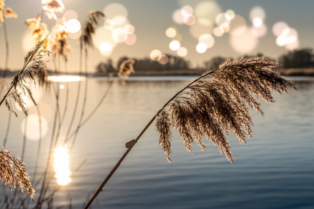 fiume