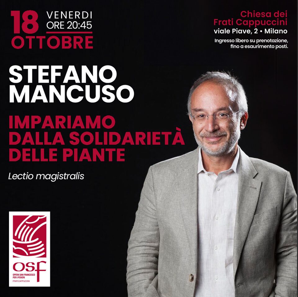 stefano mancuso opera san francesco