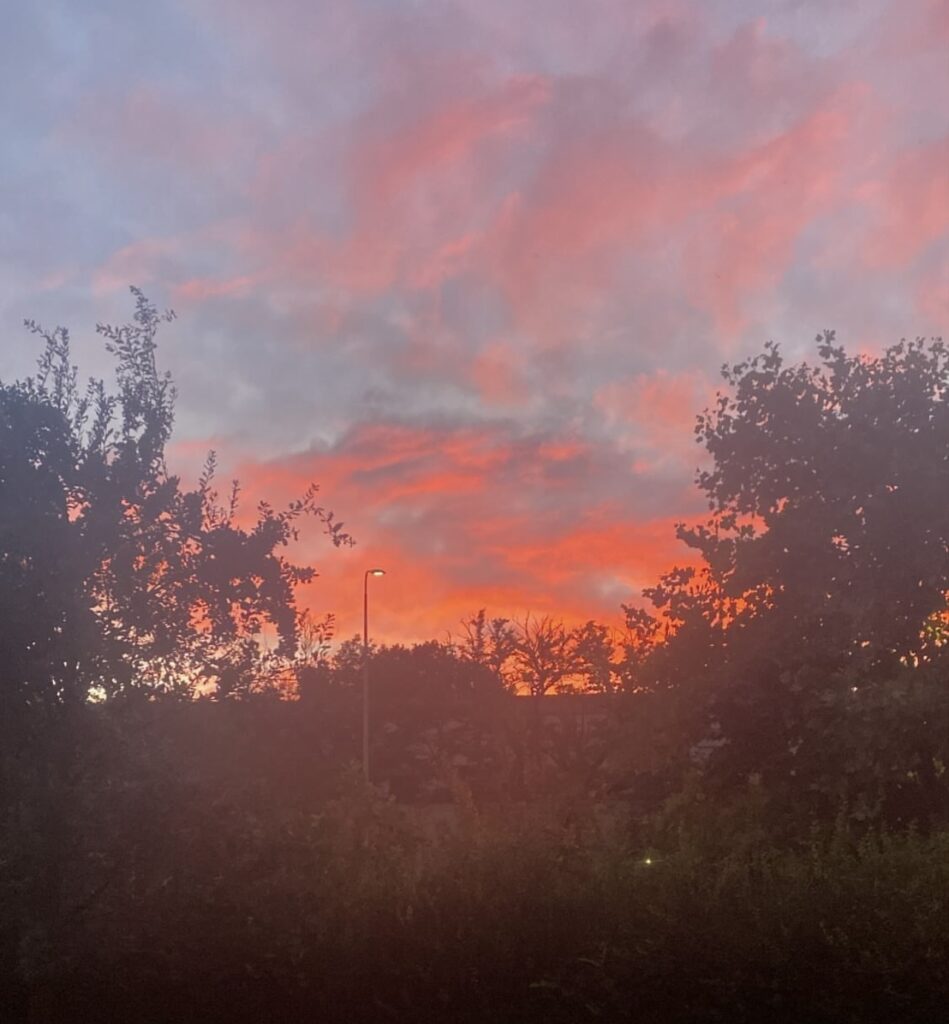 tramonto rosa milano