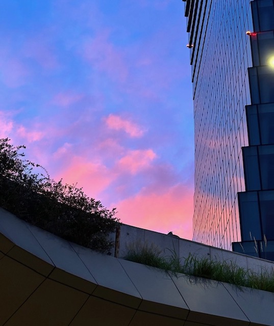 tramonto rosa milano