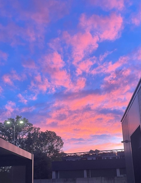 tramonto rosa milano