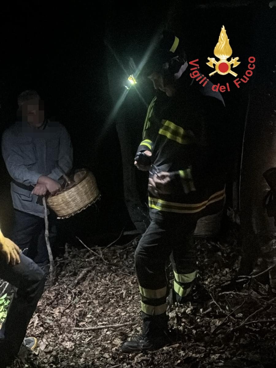 vigili del fuoco bosco