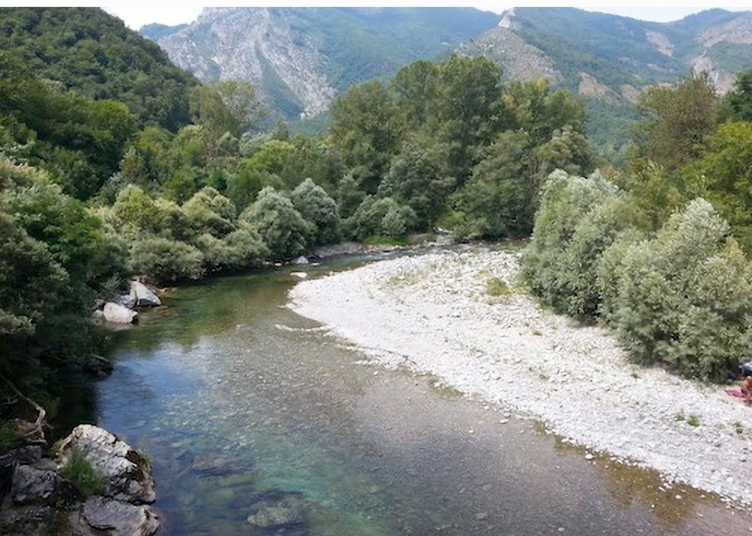 Fiumi, alberi e alluvioni