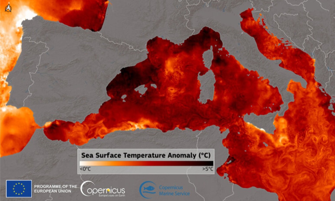 Mediterraneo troppo caldo