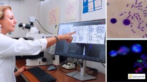 Salute ENEA progetto NATO emergenze radiologiche nucleari