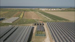 agrivoltaico calabria enea