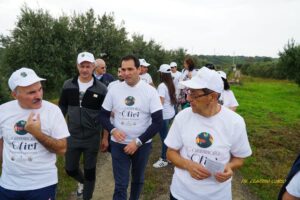 camminata tra gli olivi calabria