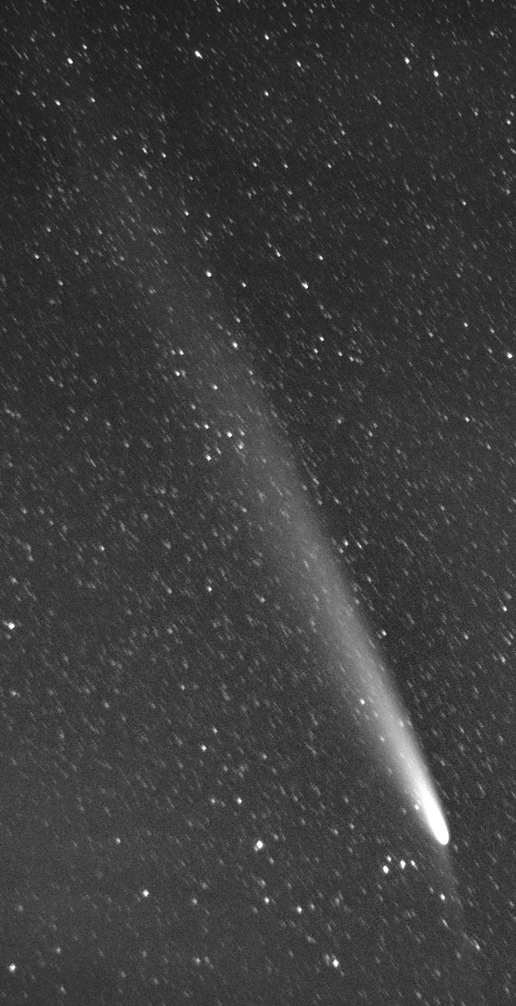 cometa C 2023 A3 Tsuchinshan-ATLAS