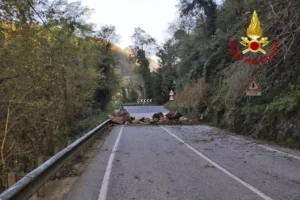 frana pasubio
