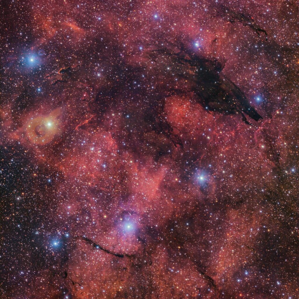 lupo eso cielo foto immagine