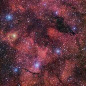 lupo eso cielo foto immagine