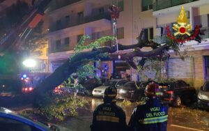 maltempo bora trieste