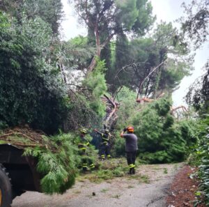 maltempo isola d'elba