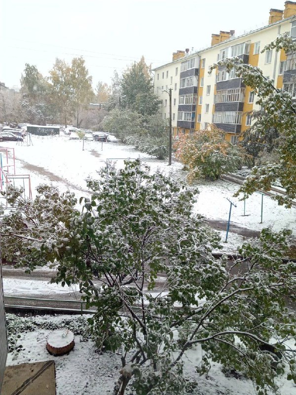 neve vologda russia