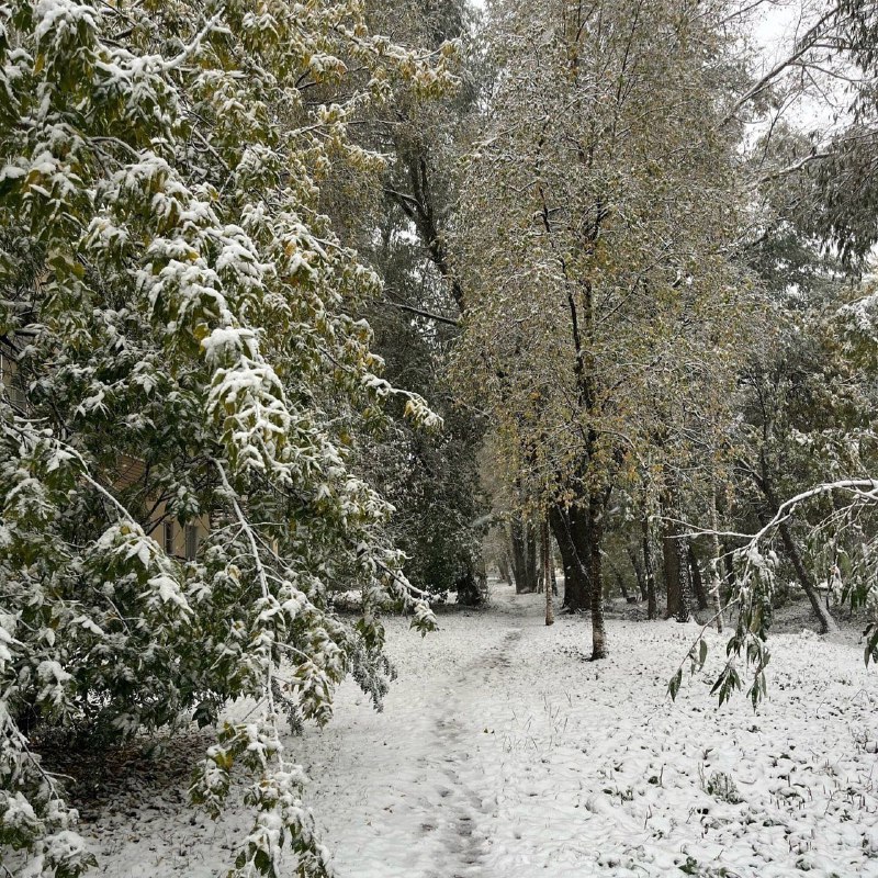 neve vologda russia
