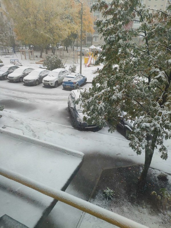 neve vologda russia