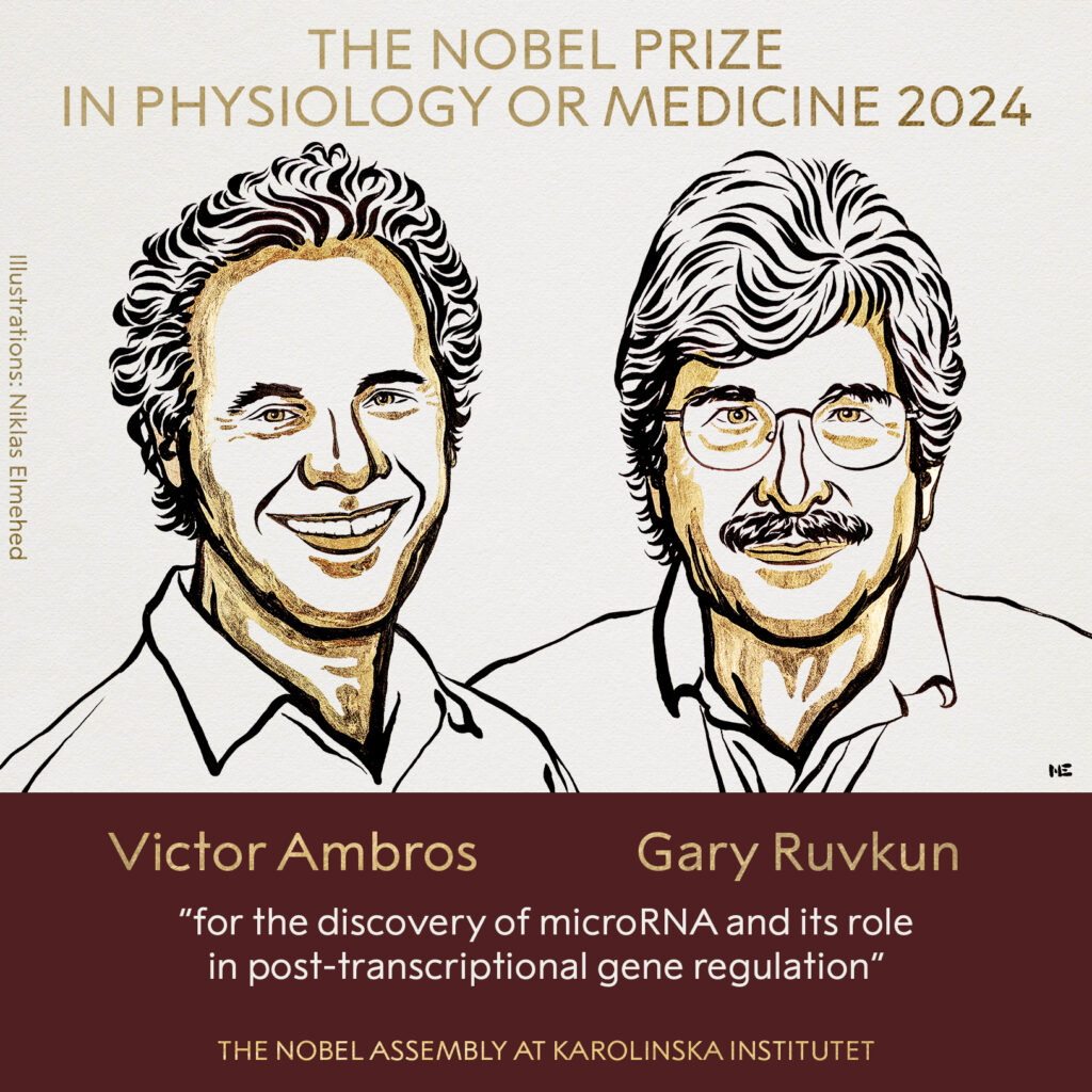 premio nobel medicina 2024