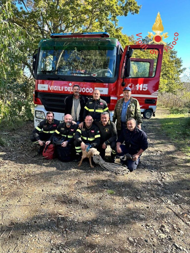 vigili del fuoco cane