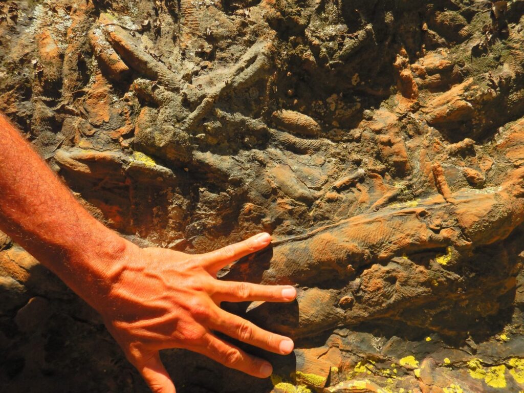 Geology oracle