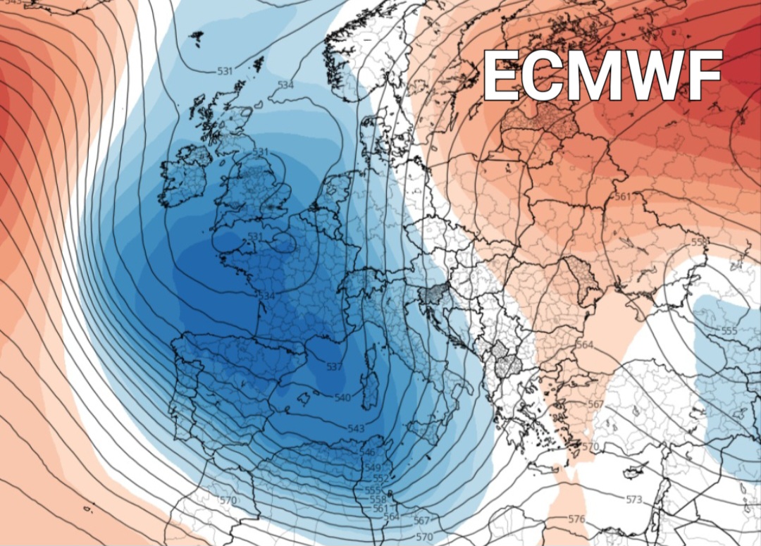 ECMWF 20 novembre