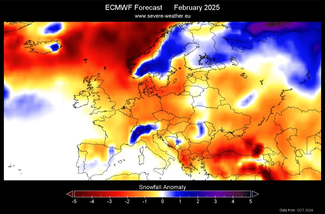 Febbraio 2025 per ECMWF