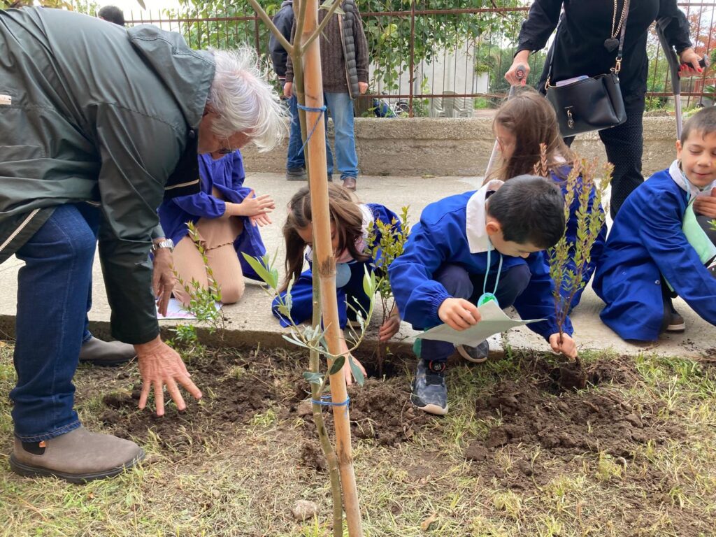 Festa albero scuole