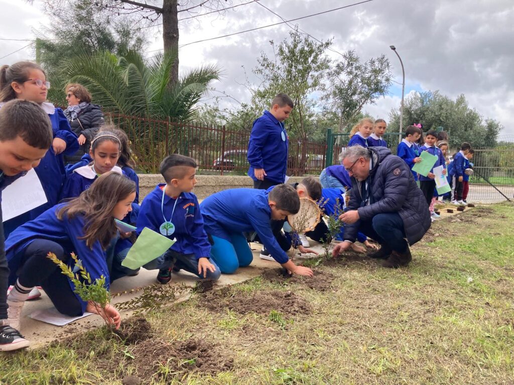 Festa albero scuole
