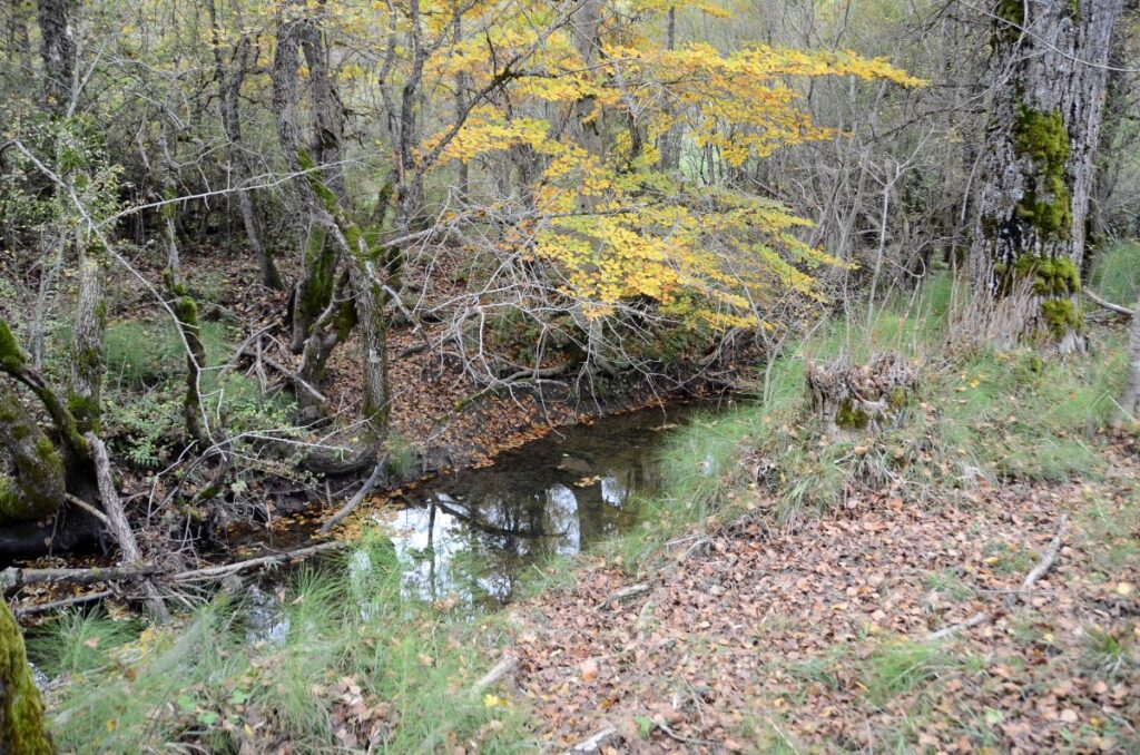 Fiume Giovenco