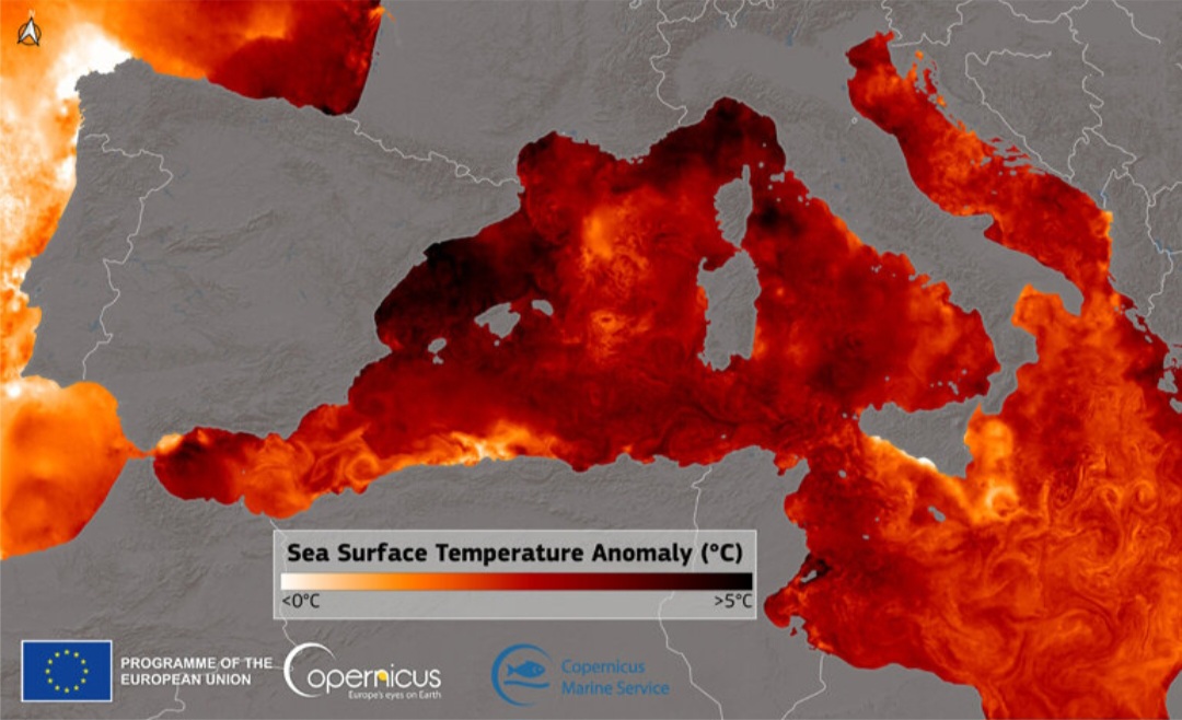 Mediterraneo sempre più caldo