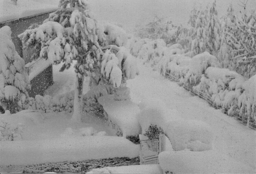 Neve novembre 1978