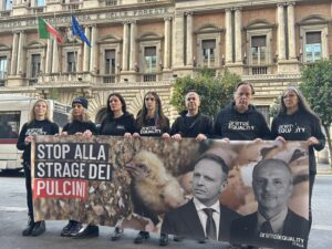 Protesta pulcini maschi